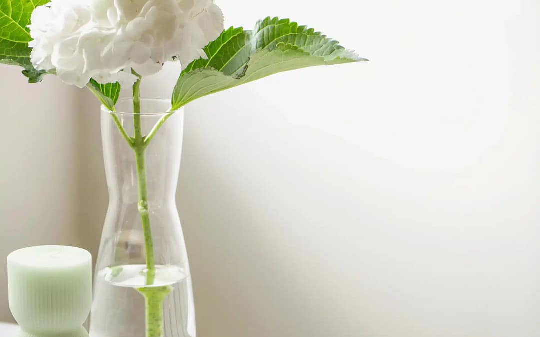 Website Hosting Explained: Types, Benefits, and How to Choose the Right Provider